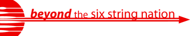 Beyond the Six String Nation