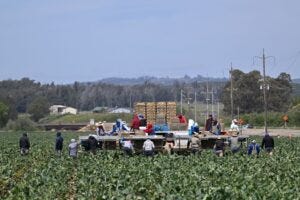 GettyImages-1251733022 farming