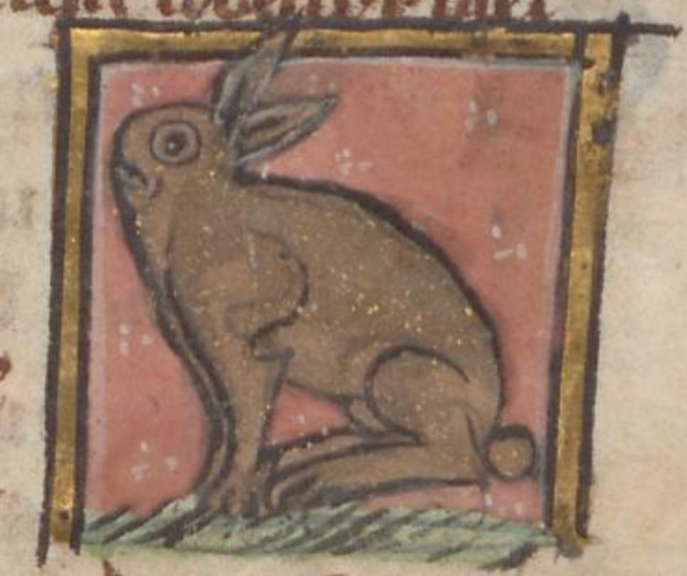 12 Medieval Rabbits to Help You Celebrate Spring