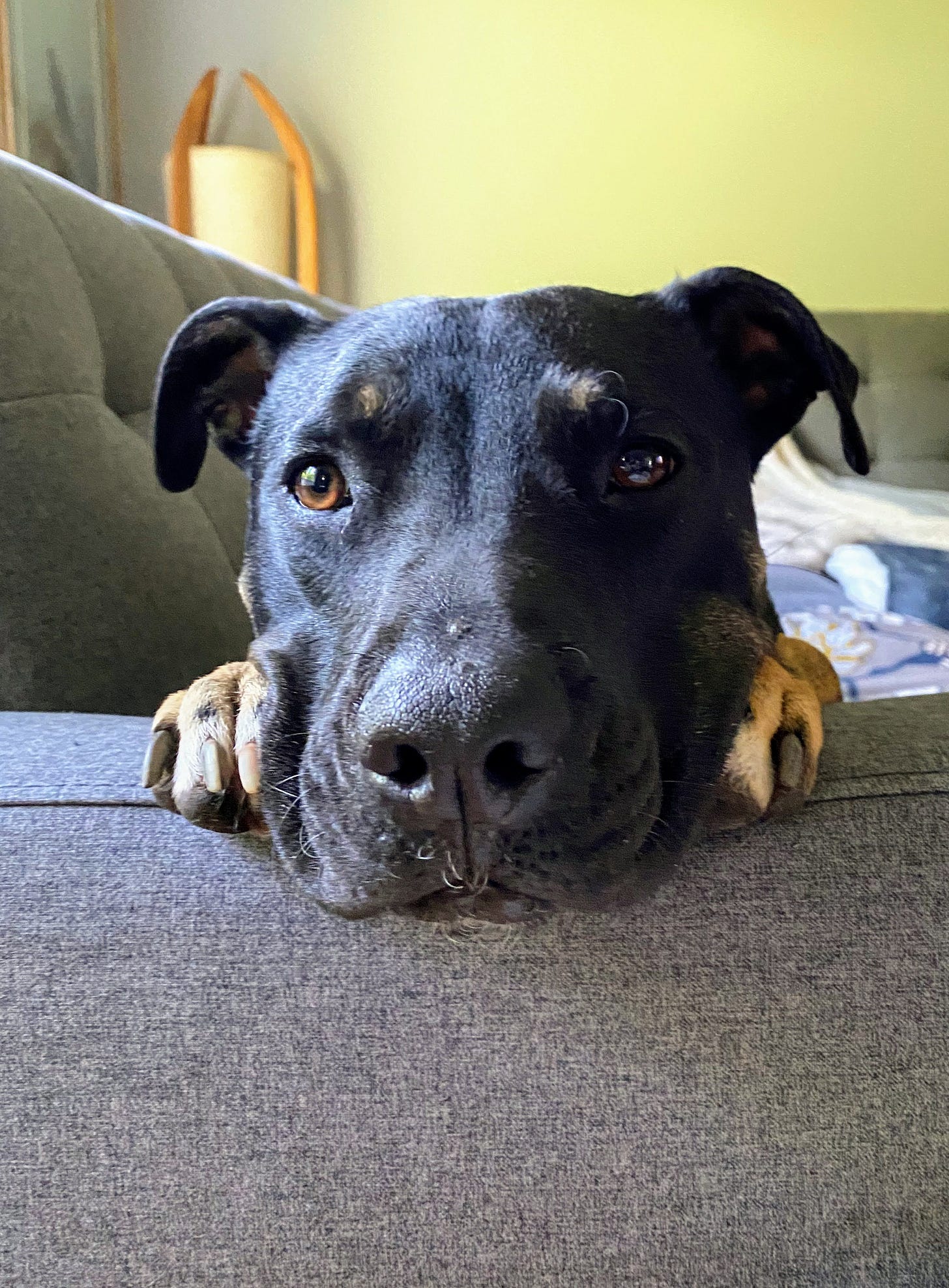 This face though. (Photo: Jennifer Roberts)