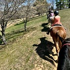 ☔️Setting limits doesn’t hurt them 🐴 