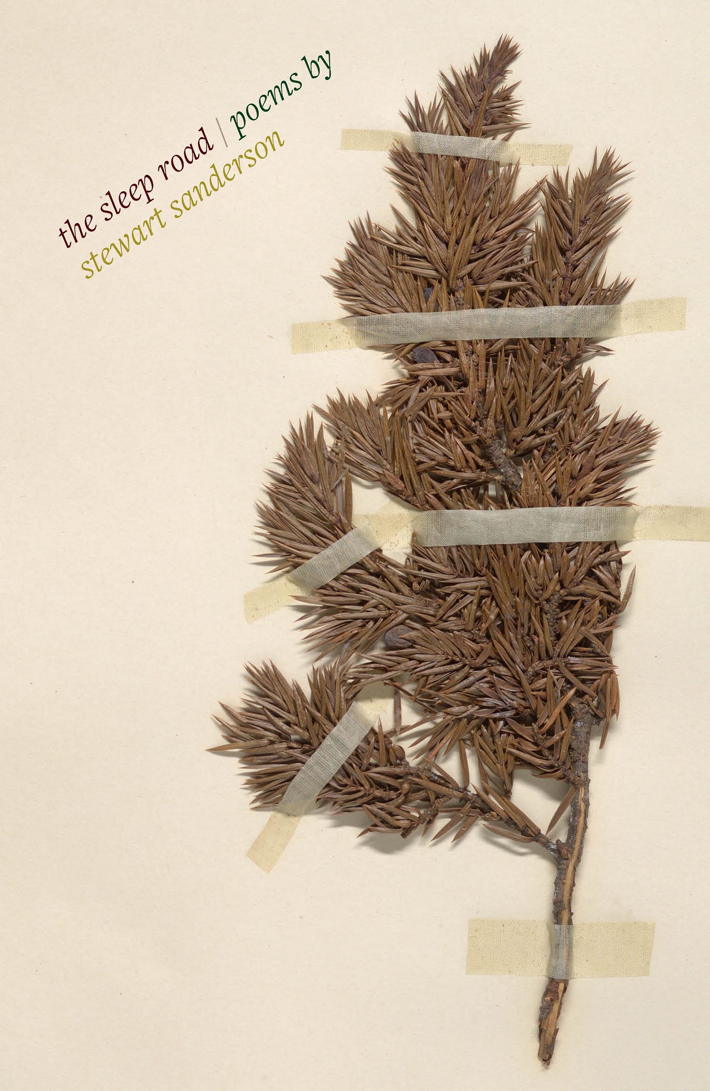 A book cover with a dried plant taped onto the cover