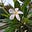 Amrutha Reddy's avatar