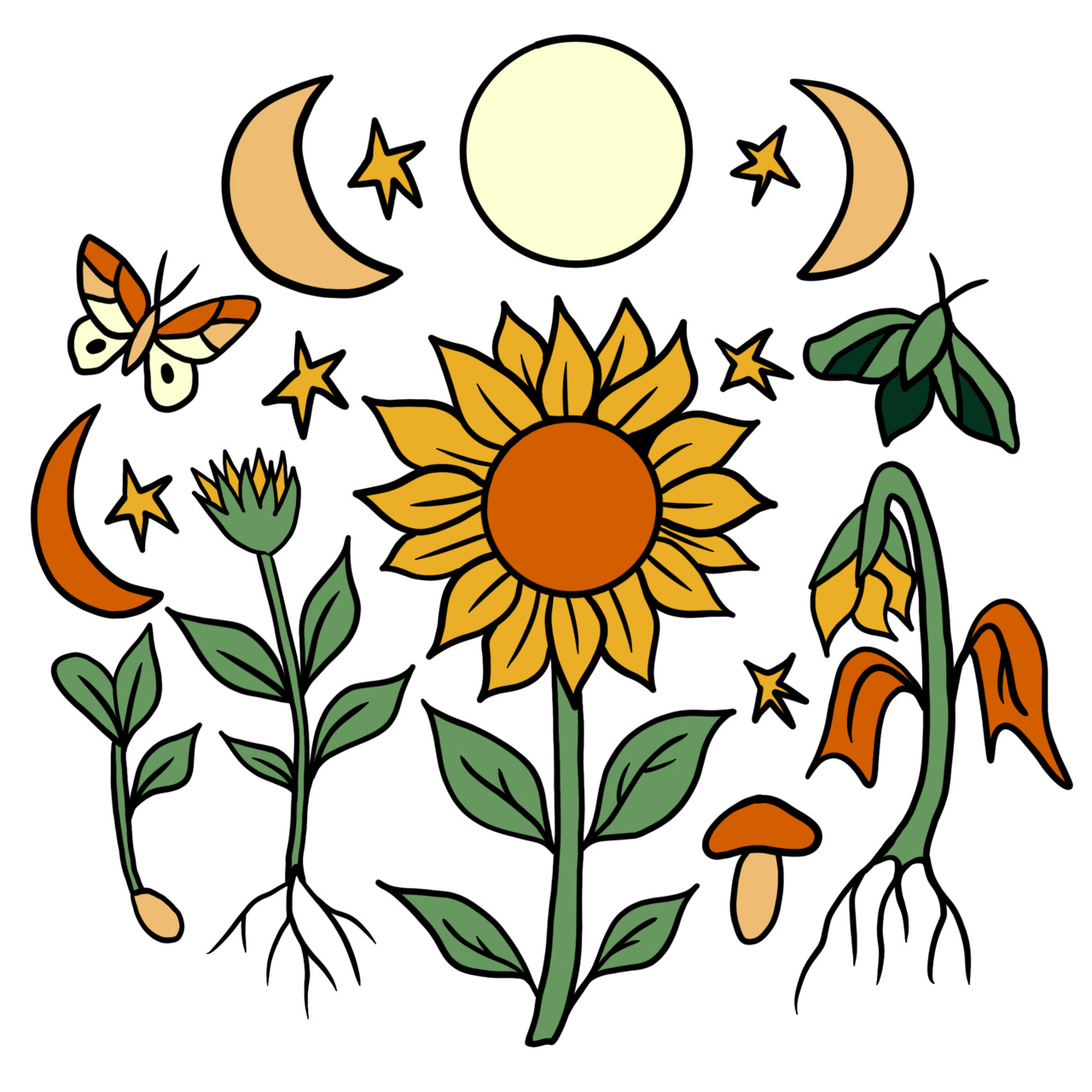 Soil and Stars