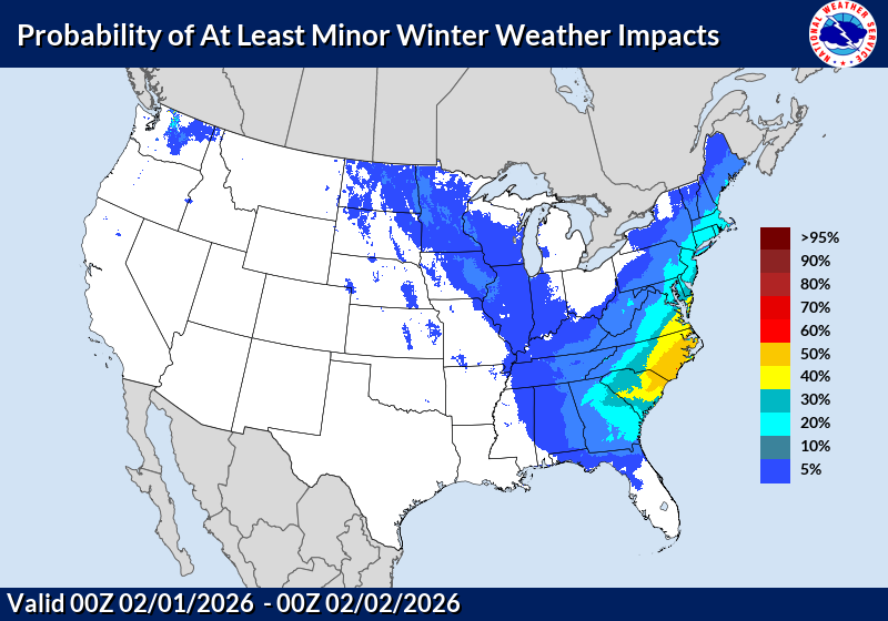 Day 6 image not available Day 6 image not available