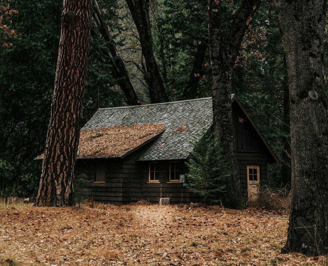 gray wooden house surrounded by trees