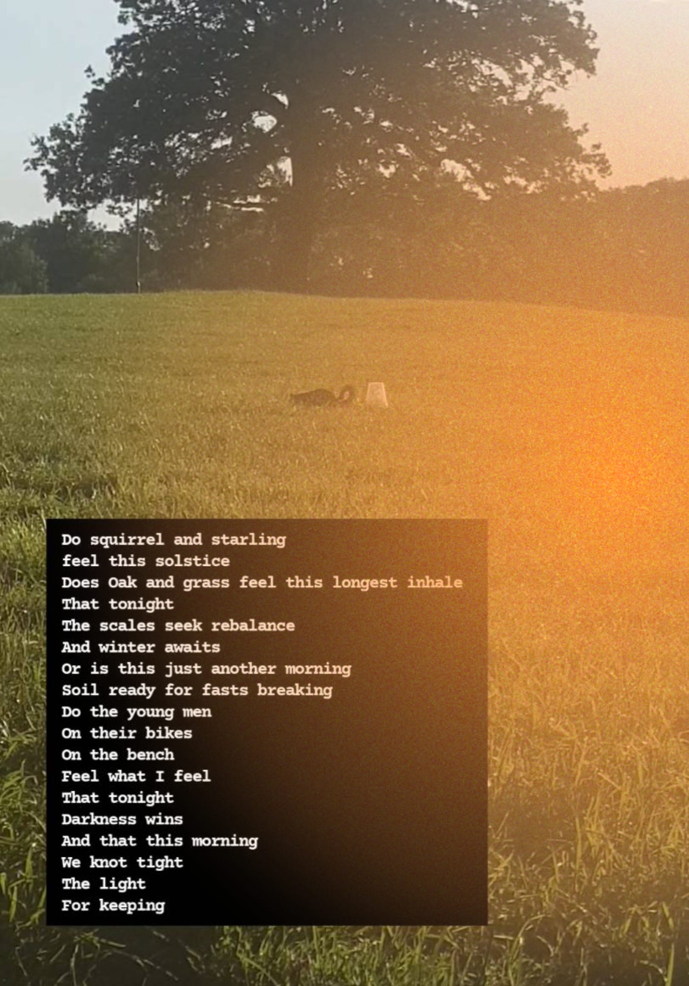 Do squirrel and starling feel this solstice  Does Oak and grass feel this longest inhale That tonight The scales seek rebalance And winter awaits Or is this just another morning Soil ready for fasts breaking Do the young men On their bikes On the bench Feel what I feel That tonight Darkness wins And that this morning We knot tight The light For keeping