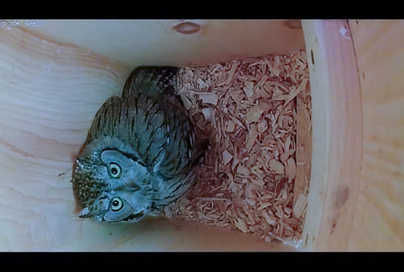 20260406-MBY-2-Edit.jpg 20260406-MBY-2-Edit.jpg