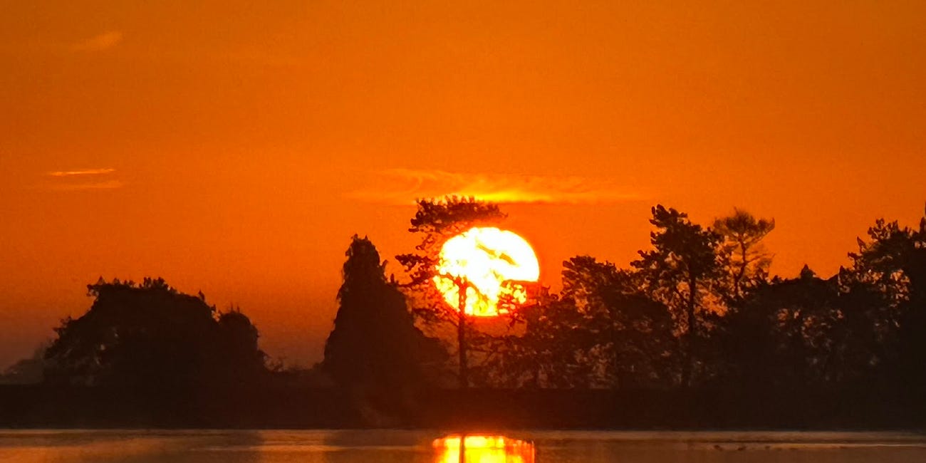 The Ancient Practice That Can Restore Your Mental Health Today