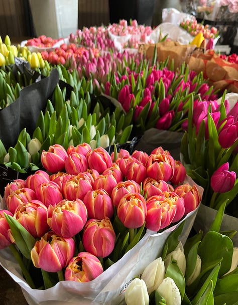 Top L-R: agretti, radicchio, onions an radishes at the market, dove-shaped pasta sfoglia and mini-colomba Easter cakes, magnolia trees in flower, market tulips, Coco and margarita flowers beside Lake Lugano, strawberries up to our ears, pastiera easter cake from Naples (my favorite Italian dessert), marzipan lamb
