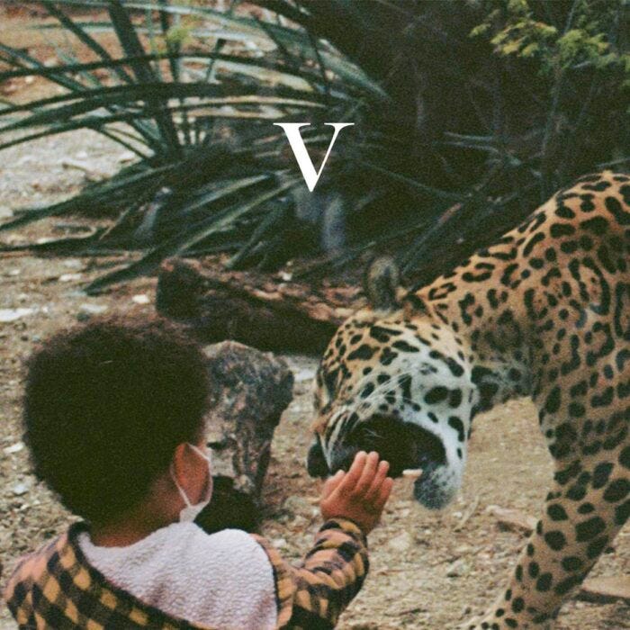 Crítica | Unknown Mortal Orchestra: "V" - Música Instantânea