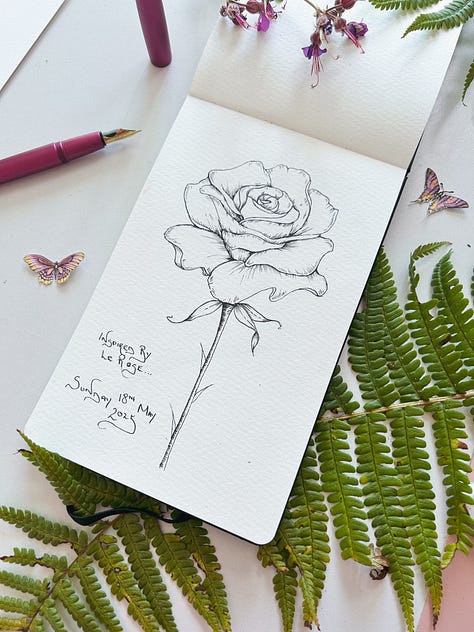 30 day drawing challenge with a fountain pen