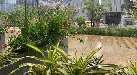 Spring Rains! © Jayshree Gururaj
