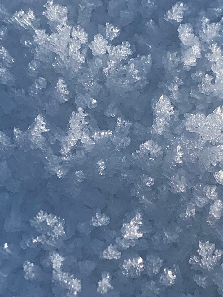 ice crystals in snow