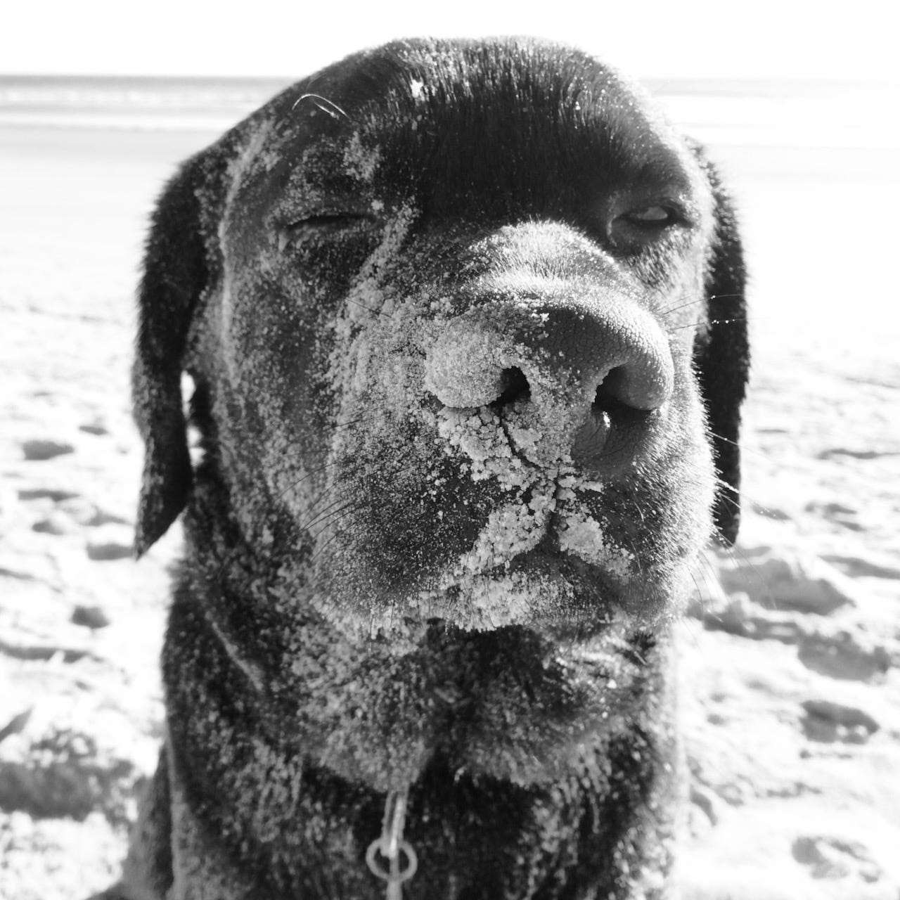 Jason McCarthy | GORUCK