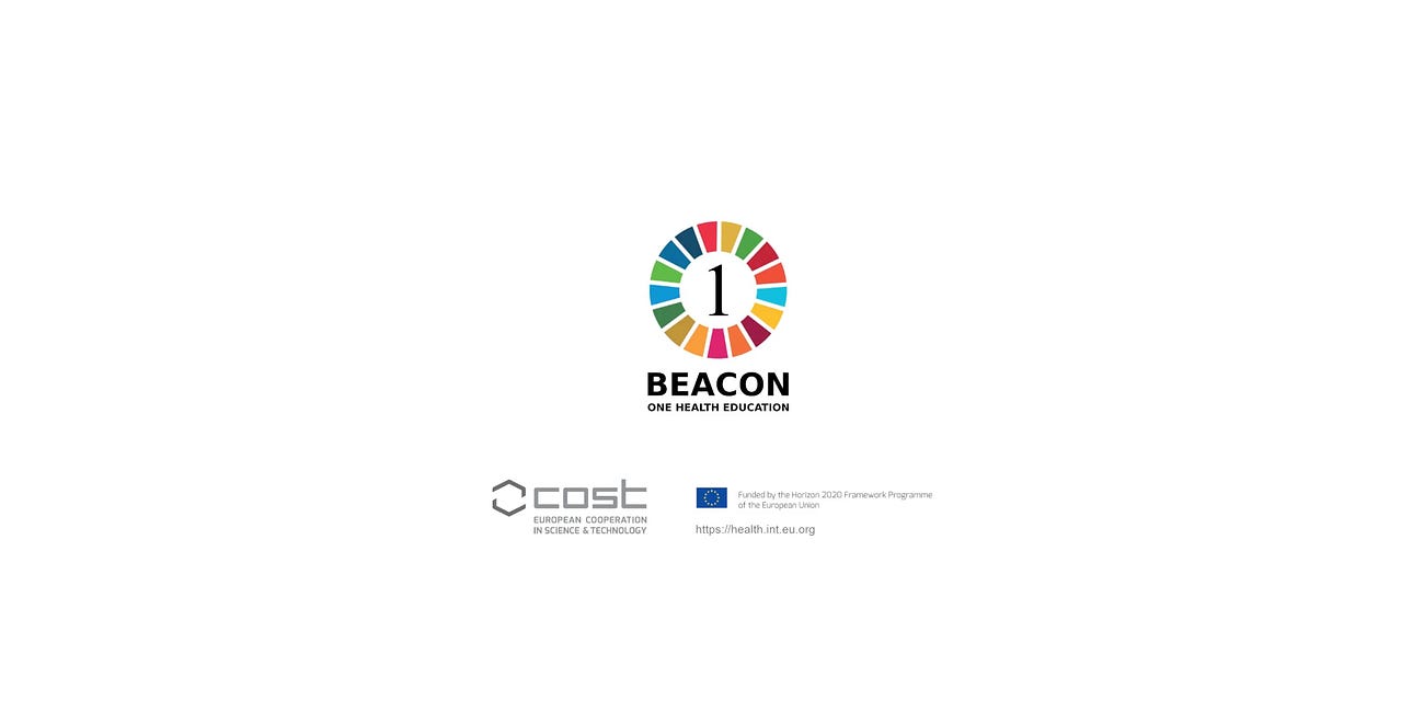 Technical and governance report on the cyberattacks targeting the EU BEACON One Health education via new technologies COST action suffered this week on our servers