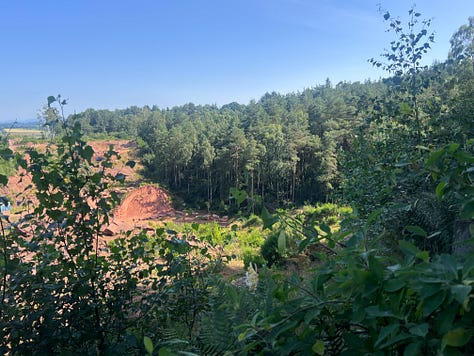 Corncockle Quarry, its hole and nature's reclamation