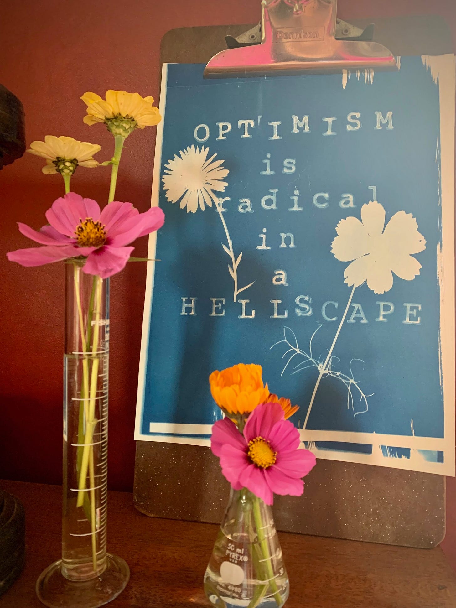 scientific beakers holding fresh flowers surround a cyanotype print that reads: optimism is radical in a hellscape