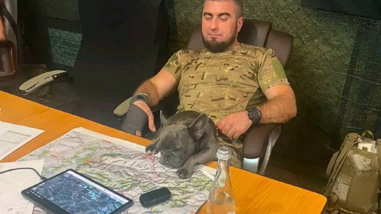 Выяснилось, что полковник ВСУ Манько показал в соцсети секретные карты с  фронта - Рамблер/новости