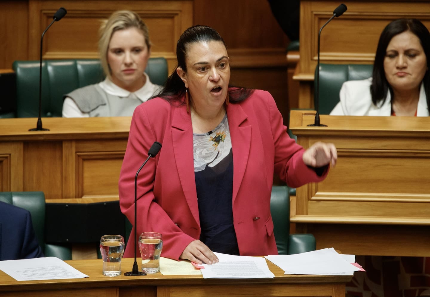 Chhour is currently progressing legislation through the House that will allow for future permanent programmes. Photo / Mark Mitchell Chhour is currently progressing legislation through the House that will allow for future permanent programmes. Photo / Mark Mitchell
