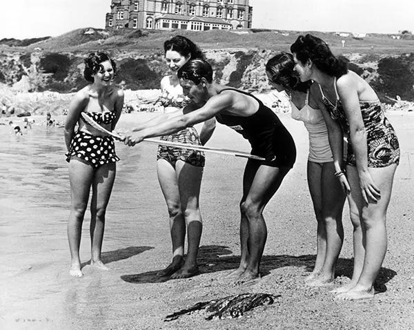 As surfing's popularity soared, new brands like Vans and Channel Islands emerged, defining surf culture and gear, even amidst growing territorial disputes. As surfing's popularity soared, new brands like Vans and Channel Islands emerged, defining surf culture and gear, even amidst growing territorial disputes.