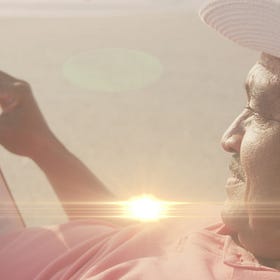 Self-Insertion Is Not the Problem. Dishonesty Is.