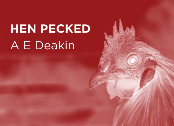 Hen Pecked. Infrared chicken.