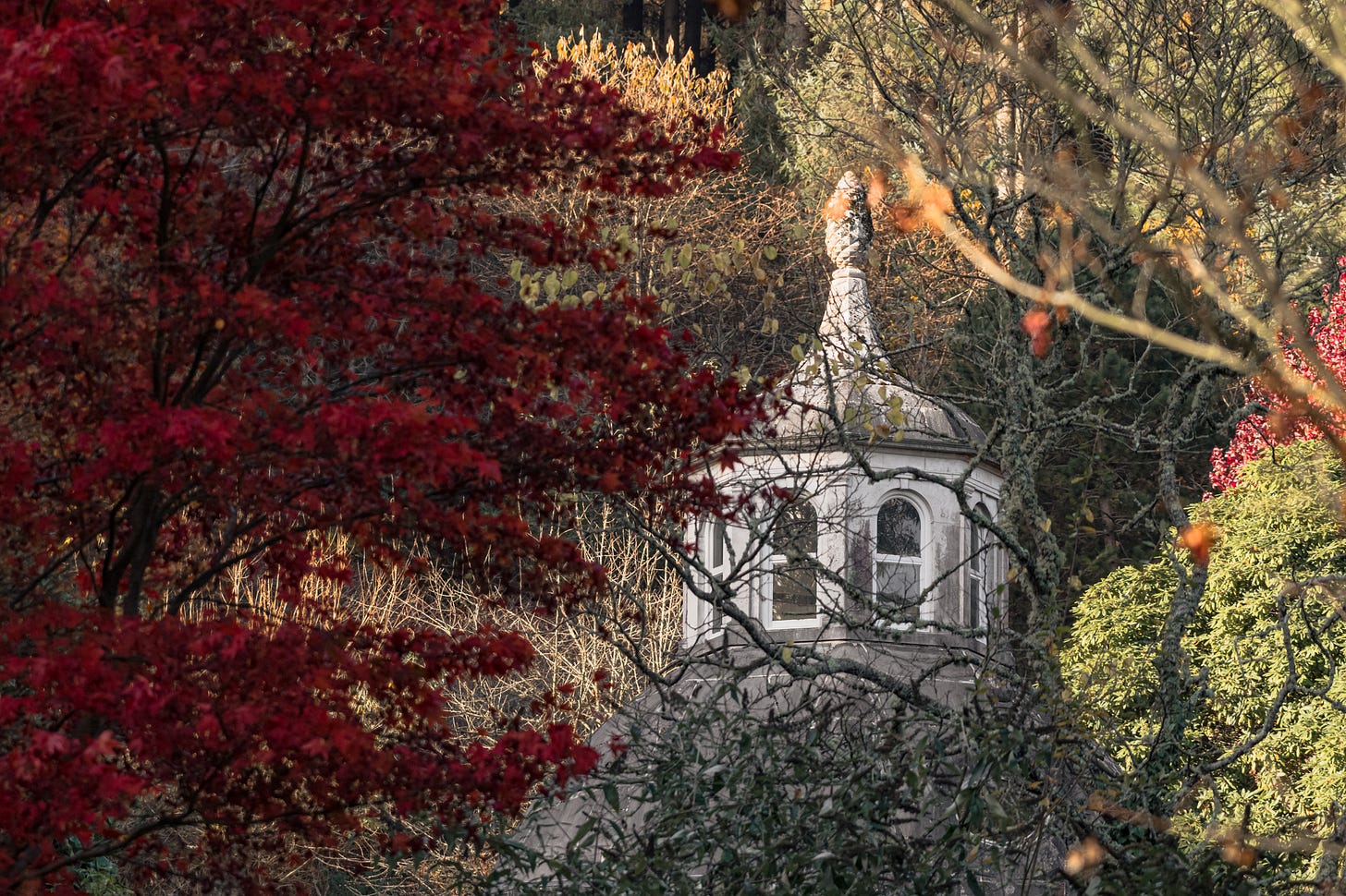 Autumn in Exeter's Capability Brown gardens