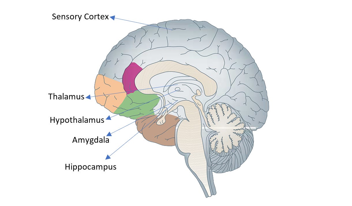 The Science Of Fear — Saskatchewan Science Centre The Science Of Fear — Saskatchewan Science Centre