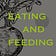 Eating and Feeding