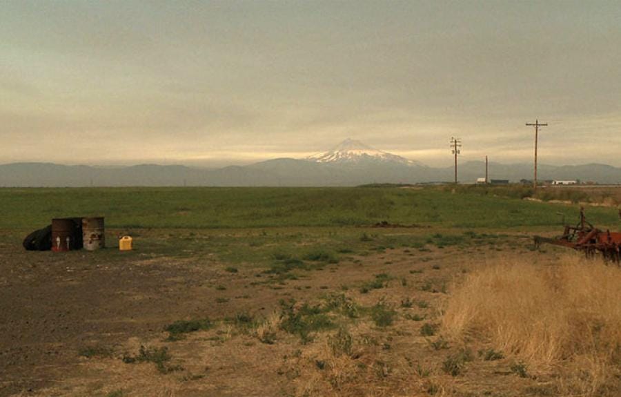 L. Cohen | Cornell Cinema