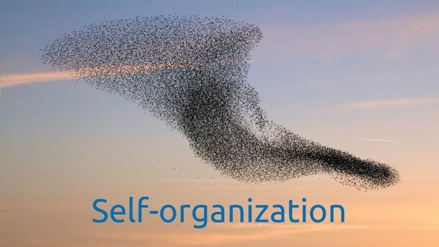 Self-Organized Teams: Where Great Things Start - Disruptive agile ... Self-Organized Teams: Where Great Things Start - Disruptive agile ...
