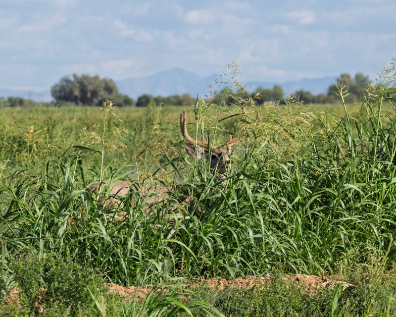 20250908-Manville-229-Edit.jpg 20250908-Manville-229-Edit.jpg