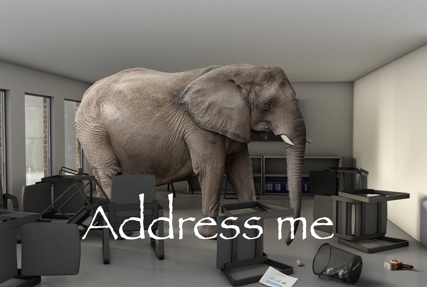 The "Address me" Elephant in the Room : r/MemeRestoration