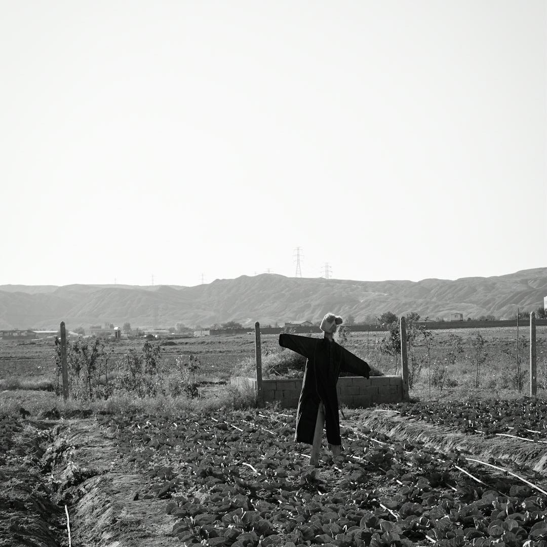 a person standing in a field a person standing in a field
