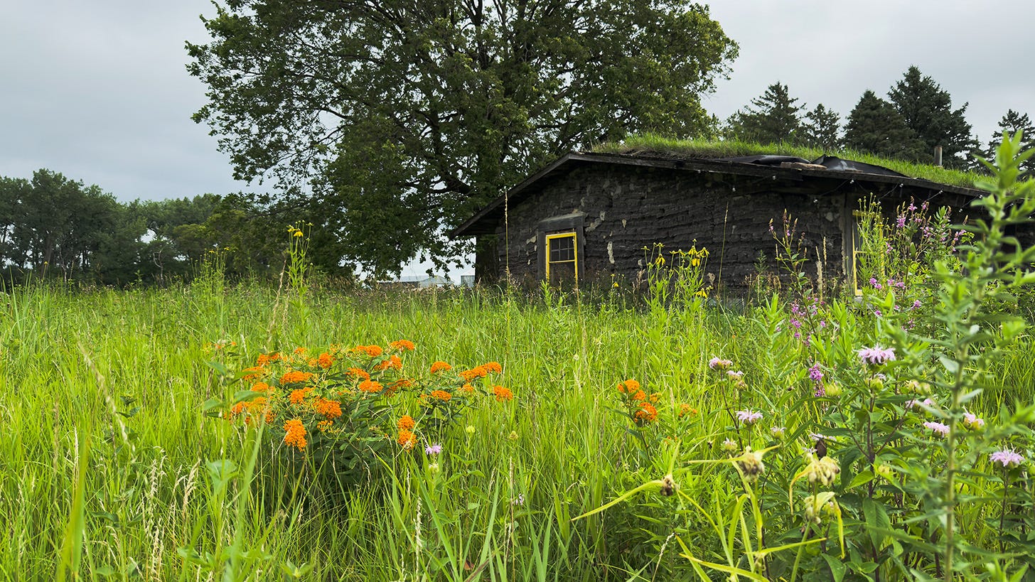 A sod house with a grass roof and a yellow window frame can be seen in the background of orange and purple wildflowers.