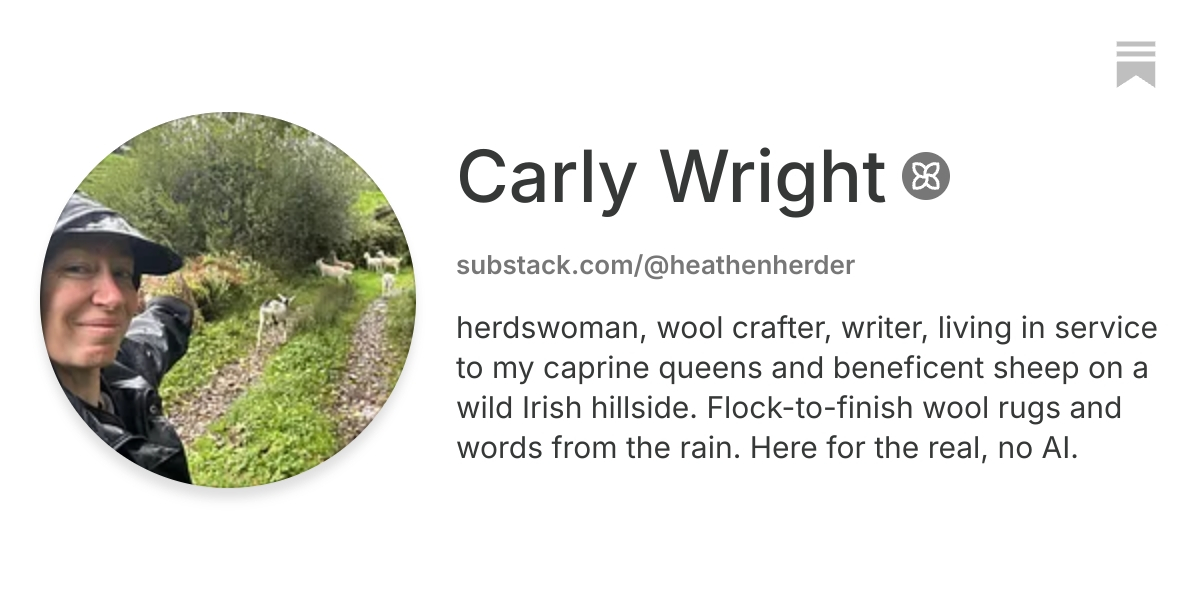 Carly Wright | Substack
