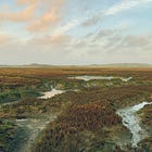 quitting instagram & improvising with the universe ੈ✩‧₊˚