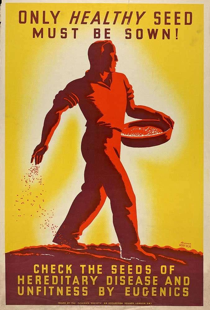This poster from the 1930s promotes the idea of ‘positive’ eugenics through the figure of the ‘healthy’ sower of seed, but also proposes unspecified ‘checks’ or ‘negative’ eugenic methods to prevent supposedly hereditary conditions and ‘unfitness’