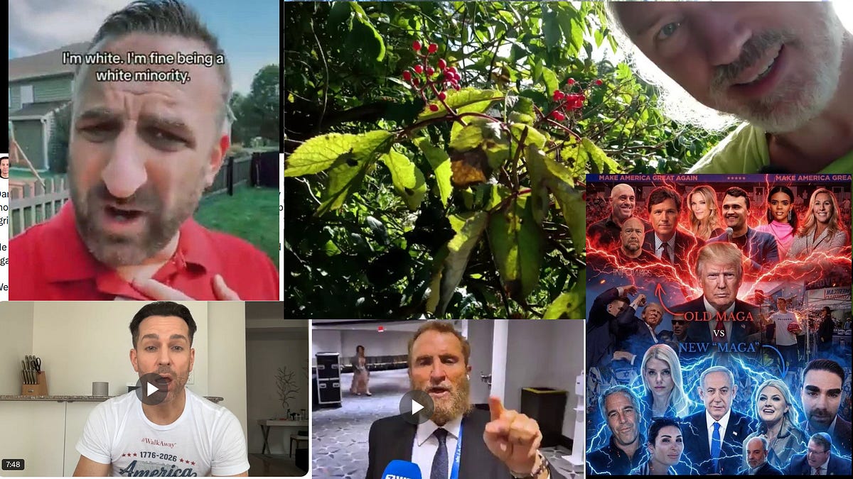 Grok Bot. UltraSound vs Parkinson. Turds Gerald & Dan Bongino. MIGA destroys the world. mRNA liars