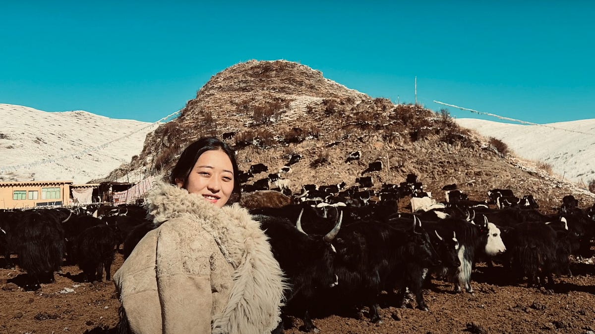 阿坝少女南木吉的抗议与出走- 华语青年挺藏会