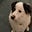 Pippa C's avatar