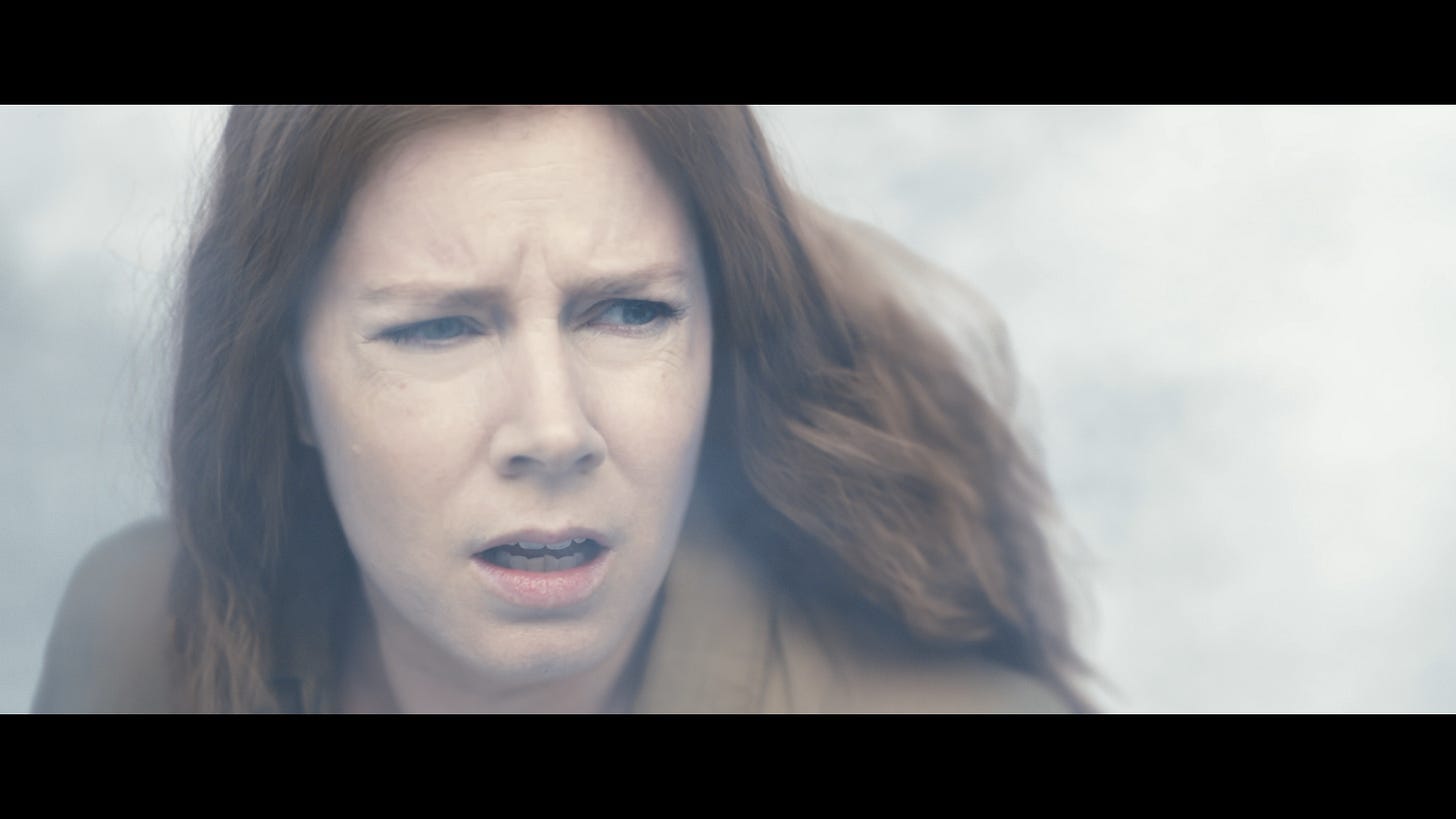 Review: Arrival UHD/BD + Screen Caps - Page 2 of 2 - Movieman's Guide to  the Movies