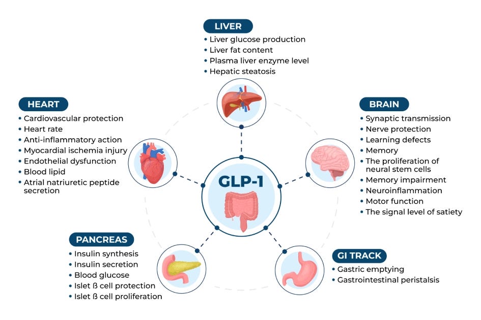 Can GLP-1 Medications Help MCAS, Fatigue, and More?