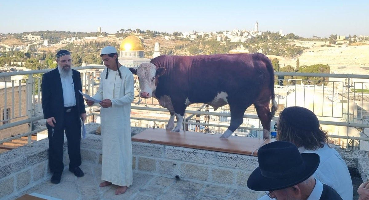 Here is why the Jews killed Charlie Kirk