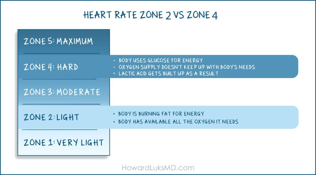 Zone 2 versus Zone 4