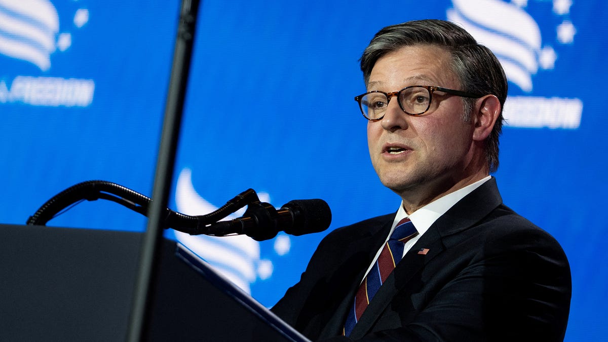 Speaker Mike Johnson 'says the quiet part out loud' on protection program