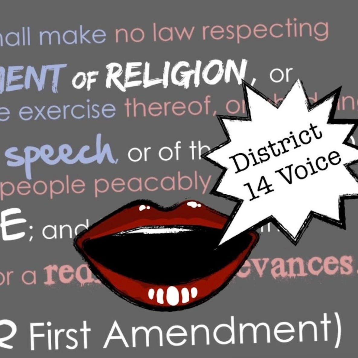 District 14 Voice