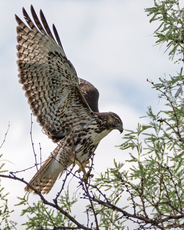 20250906-Manville-106-Edit.jpg 20250906-Manville-106-Edit.jpg