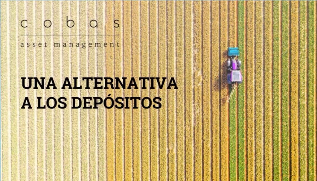 Análisis y opinión Cobas Renta fondo mixto conservador